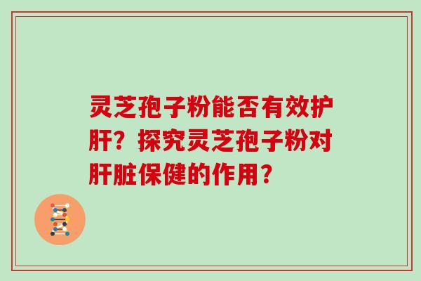 灵芝孢子粉能否有效护肝？探究灵芝孢子粉对肝脏保健的作用？