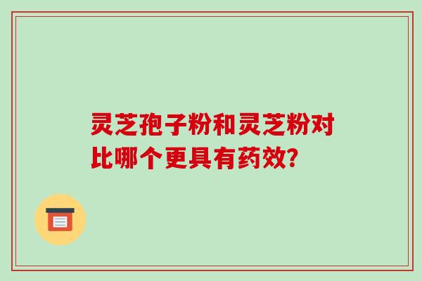 灵芝孢子粉和灵芝粉对比哪个更具有药效？