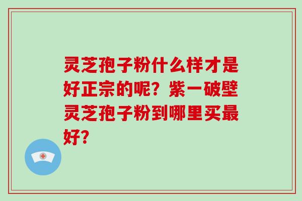 灵芝孢子粉什么样才是好正宗的呢？紫一破壁灵芝孢子粉到哪里买好？