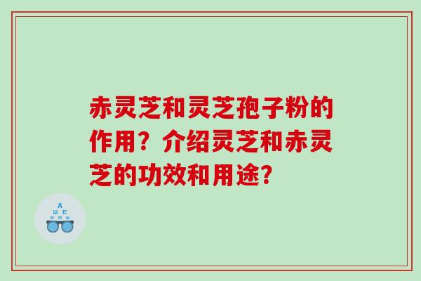 赤灵芝和灵芝孢子粉的作用？介绍灵芝和赤灵芝的功效和用途？