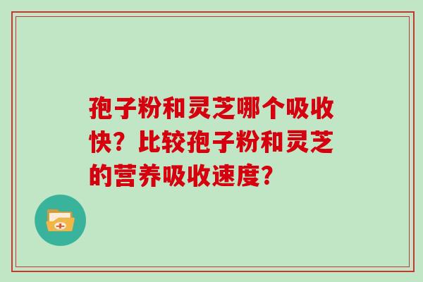 孢子粉和灵芝哪个吸收快？比较孢子粉和灵芝的营养吸收速度？