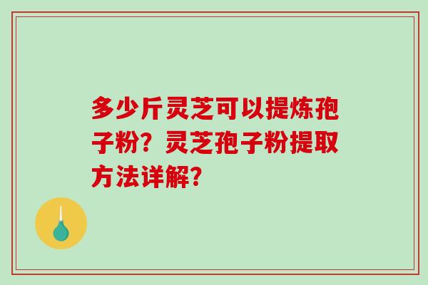 多少斤灵芝可以提炼孢子粉？灵芝孢子粉提取方法详解？