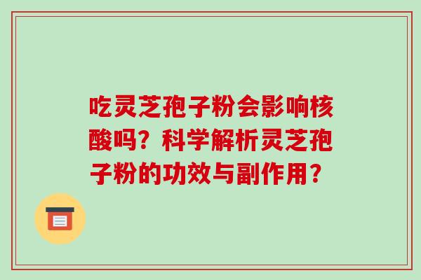 吃灵芝孢子粉会影响核酸吗？科学解析灵芝孢子粉的功效与副作用？