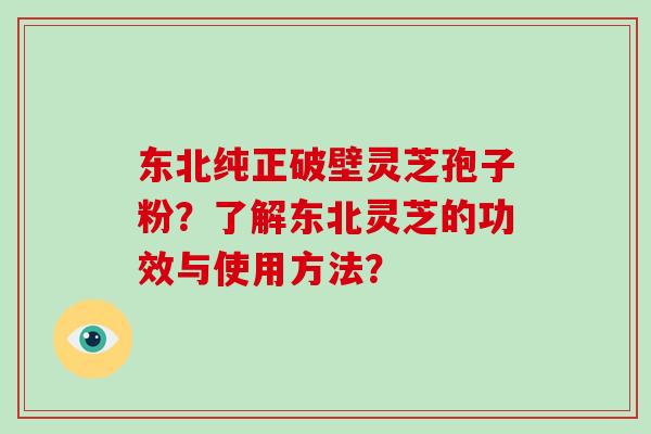 东北纯正破壁灵芝孢子粉？了解东北灵芝的功效与使用方法？