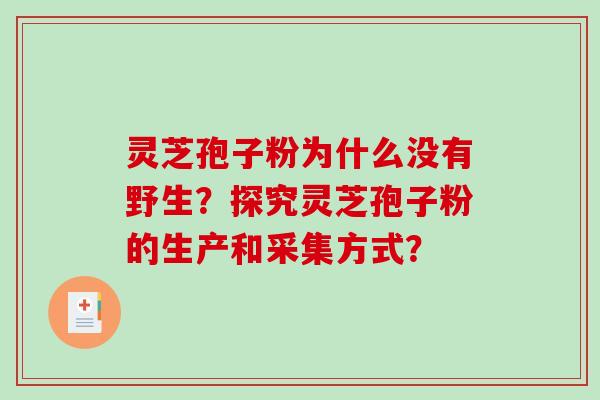 灵芝孢子粉为什么没有野生？探究灵芝孢子粉的生产和采集方式？