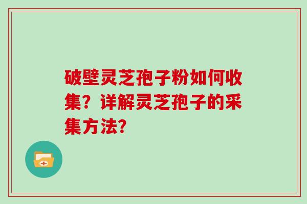 破壁灵芝孢子粉如何收集？详解灵芝孢子的采集方法？