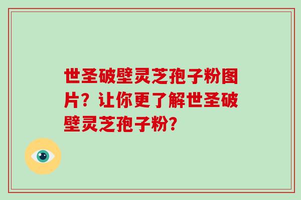 世圣破壁灵芝孢子粉图片？让你更了解世圣破壁灵芝孢子粉？