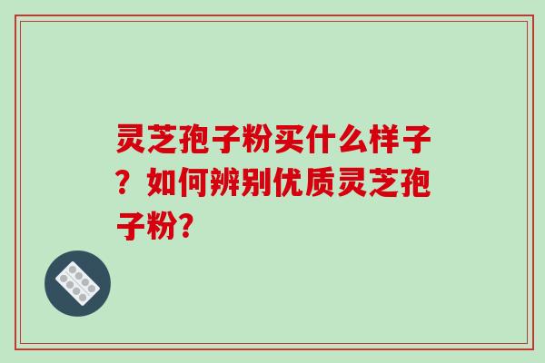 灵芝孢子粉买什么样子？如何辨别优质灵芝孢子粉？