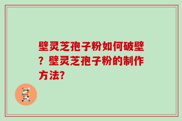 壁灵芝孢子粉如何破壁？壁灵芝孢子粉的制作方法？