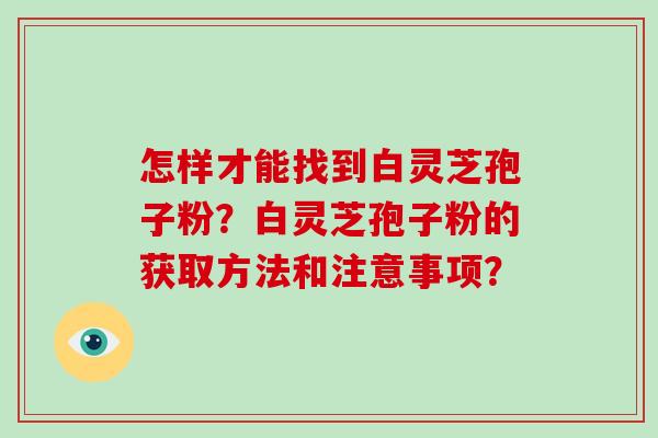 怎样才能找到白灵芝孢子粉?白灵芝孢子粉的获取方法和注意事项? 怎样才能找到白灵芝孢子粉?白灵芝孢子粉的获取方法和注意事项?