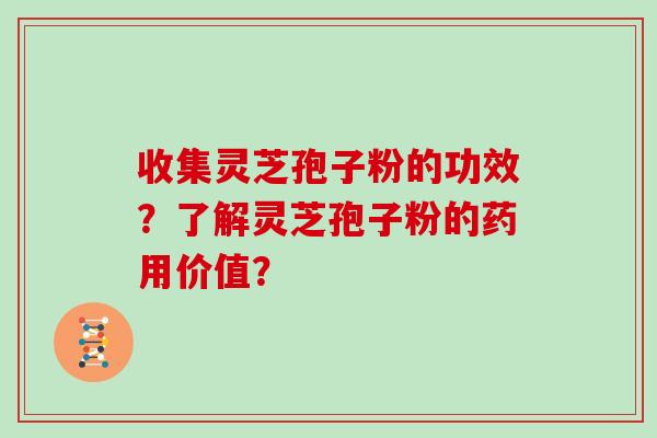 收集灵芝孢子粉的功效？了解灵芝孢子粉的药用价值？