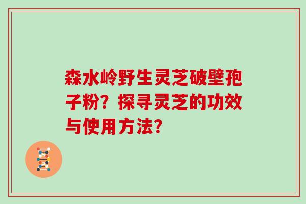 森水岭野生灵芝破壁孢子粉？探寻灵芝的功效与使用方法？