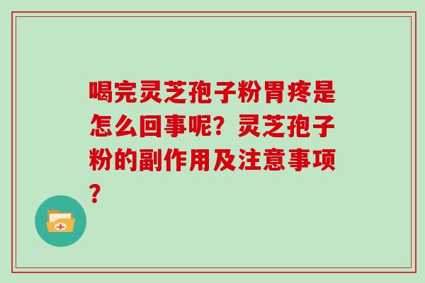 喝完灵芝孢子粉胃疼是怎么回事呢？灵芝孢子粉的副作用及注意事项？