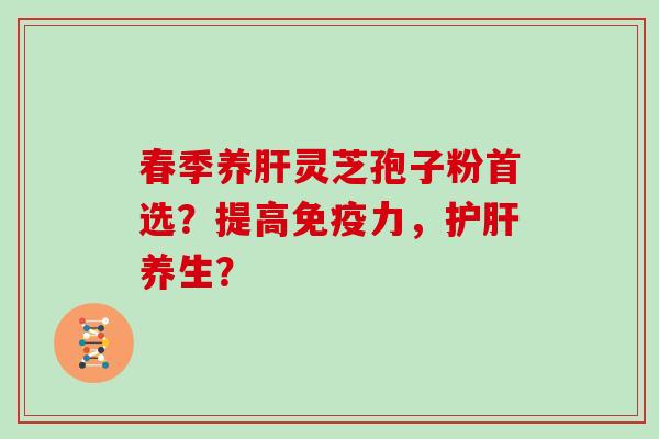春季养肝灵芝孢子粉首选？提高免疫力，护肝养生？