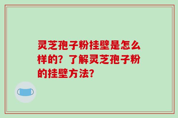 灵芝孢子粉挂壁是怎么样的？了解灵芝孢子粉的挂壁方法？