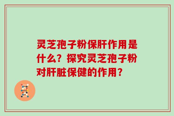 灵芝孢子粉保肝作用是什么？探究灵芝孢子粉对肝脏保健的作用？