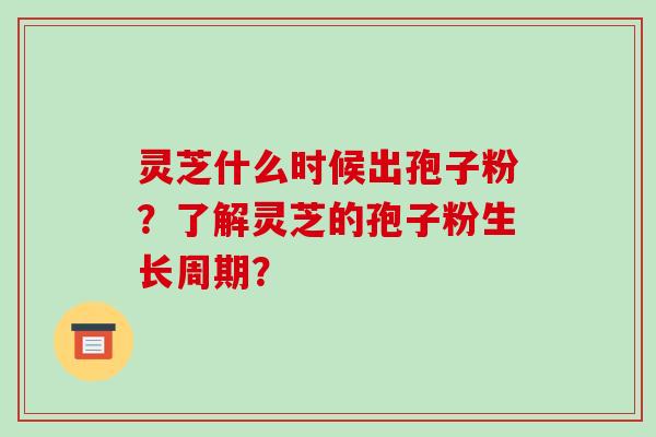 灵芝什么时候出孢子粉？了解灵芝的孢子粉生长周期？
