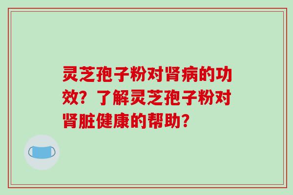 灵芝孢子粉对的功效？了解灵芝孢子粉对脏健康的帮助？