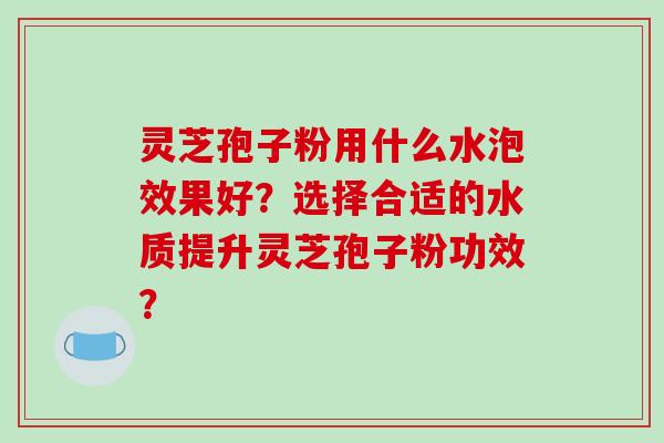 灵芝孢子粉用什么水泡效果好？选择合适的水质提升灵芝孢子粉功效？
