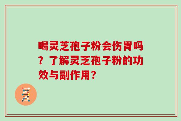 喝灵芝孢子粉会伤胃吗？了解灵芝孢子粉的功效与副作用？