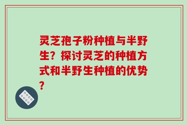 灵芝孢子粉种植与半野生？探讨灵芝的种植方式和半野生种植的优势？
