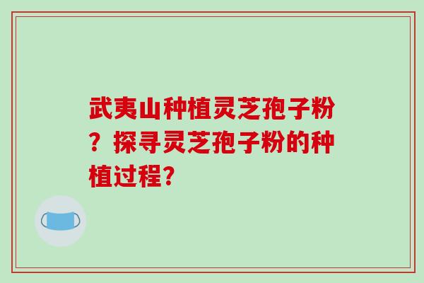 武夷山种植灵芝孢子粉？探寻灵芝孢子粉的种植过程？