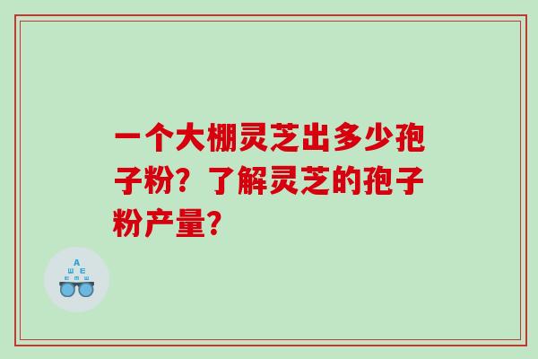 一个大棚灵芝出多少孢子粉？了解灵芝的孢子粉产量？