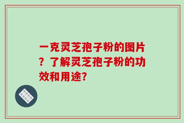 一克灵芝孢子粉的图片？了解灵芝孢子粉的功效和用途？