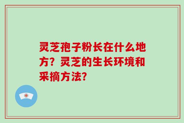 灵芝孢子粉长在什么地方？灵芝的生长环境和采摘方法？