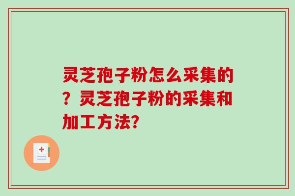 灵芝孢子粉怎么采集的？灵芝孢子粉的采集和加工方法？