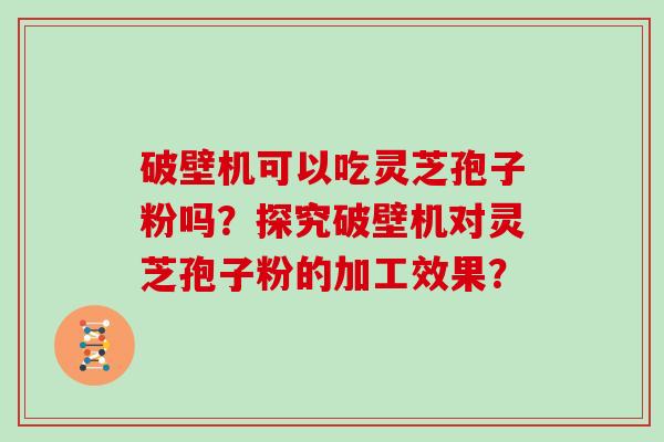 破壁机可以吃灵芝孢子粉吗？探究破壁机对灵芝孢子粉的加工效果？