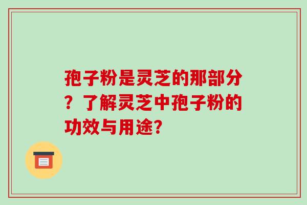孢子粉是灵芝的那部分？了解灵芝中孢子粉的功效与用途？