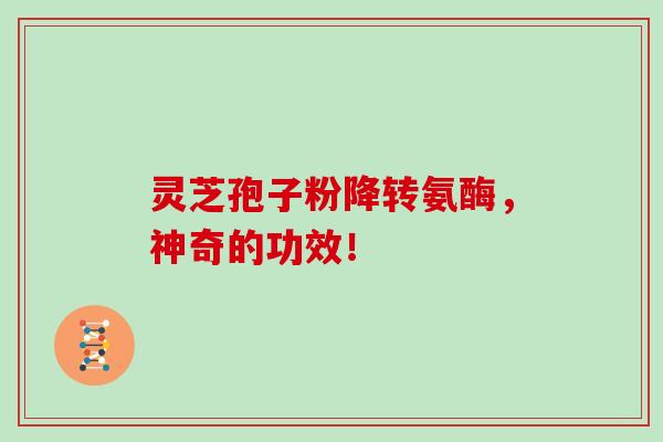 灵芝孢子粉降转氨酶，神奇的功效！