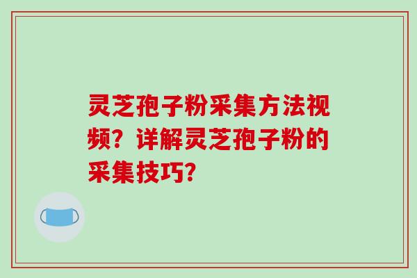 灵芝孢子粉采集方法视频？详解灵芝孢子粉的采集技巧？