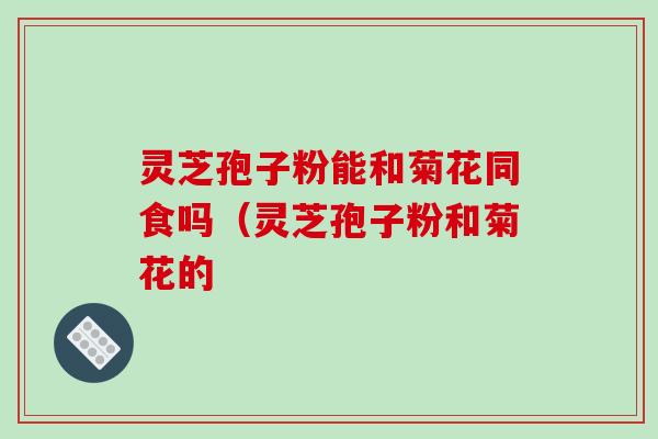 灵芝孢子粉能和菊花同食吗（灵芝孢子粉和菊花的