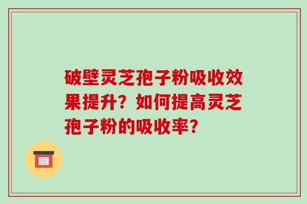 破壁灵芝孢子粉吸收效果提升？如何提高灵芝孢子粉的吸收率？