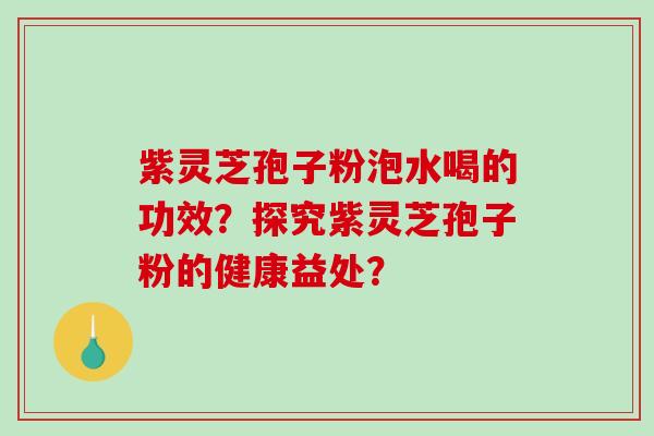 紫灵芝孢子粉泡水喝的功效？探究紫灵芝孢子粉的健康益处？