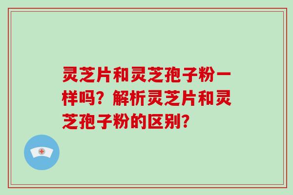 灵芝片和灵芝孢子粉一样吗？解析灵芝片和灵芝孢子粉的区别？