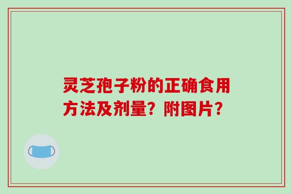灵芝孢子粉的正确食用方法及剂量？附图片？