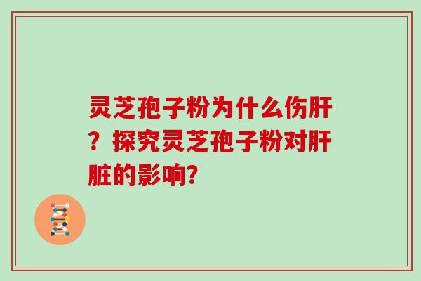 灵芝孢子粉为什么伤肝？探究灵芝孢子粉对肝脏的影响？