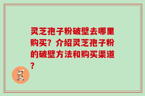 灵芝孢子粉破壁去哪里购买？介绍灵芝孢子粉的破壁方法和购买渠道？