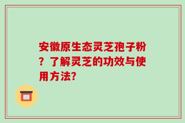 安徽原生态灵芝孢子粉？了解灵芝的功效与使用方法？