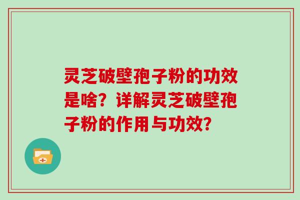 灵芝破壁孢子粉的功效是啥？详解灵芝破壁孢子粉的作用与功效？