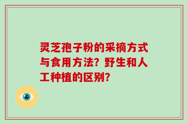 灵芝孢子粉的采摘方式与食用方法？野生和人工种植的区别？