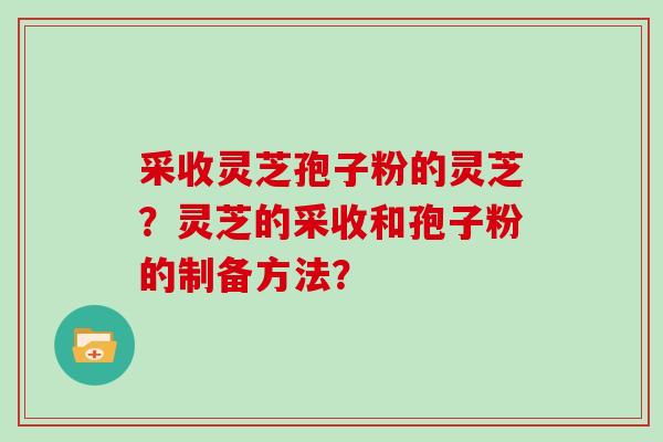 采收灵芝孢子粉的灵芝？灵芝的采收和孢子粉的制备方法？