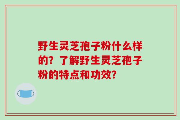 野生灵芝孢子粉什么样的？了解野生灵芝孢子粉的特点和功效？