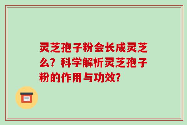 灵芝孢子粉会长成灵芝么？科学解析灵芝孢子粉的作用与功效？