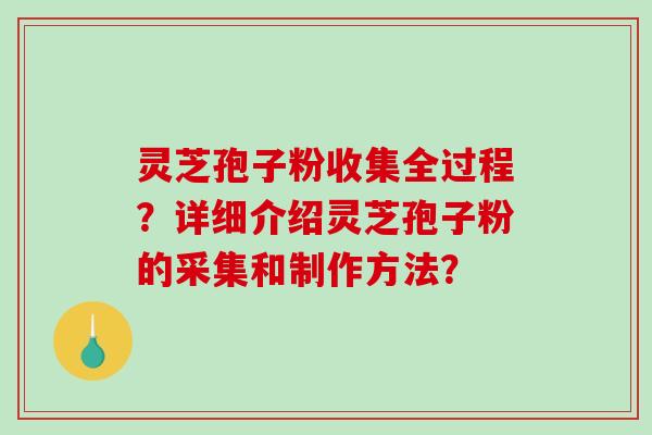 灵芝孢子粉收集全过程？详细介绍灵芝孢子粉的采集和制作方法？
