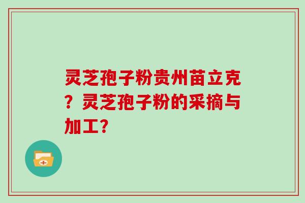 灵芝孢子粉贵州苗立克？灵芝孢子粉的采摘与加工？