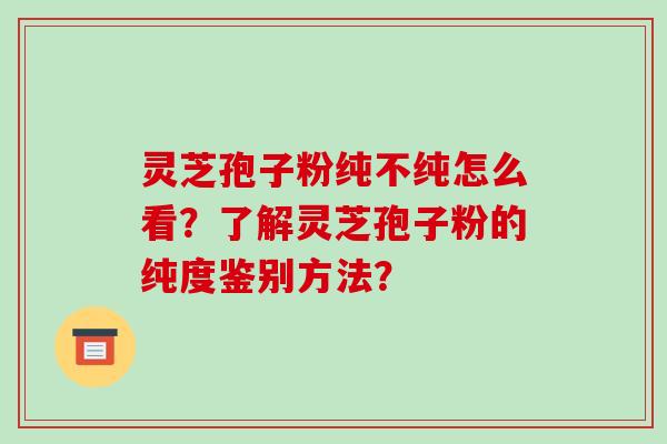 灵芝孢子粉纯不纯怎么看？了解灵芝孢子粉的纯度鉴别方法？